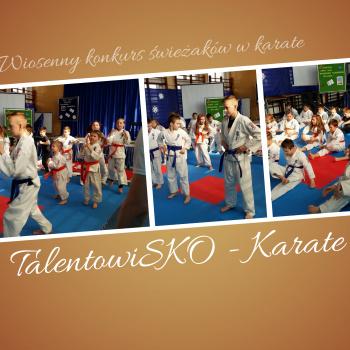 Wiosenny turniej świeżaków w karate 2018