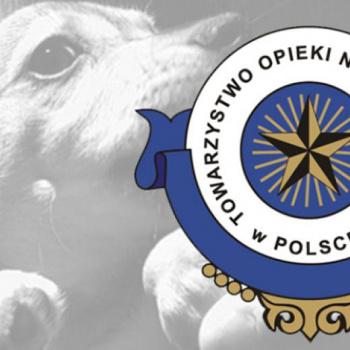 Zbiórka dla Towarzystwa Opieki nad Zwierzętami w Miliczu