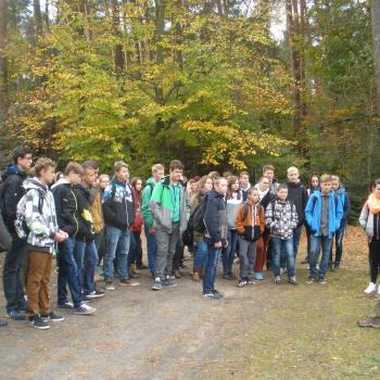 Gimnazjaliści odwiedzają szkółkę leśną "Borek" w Krasnymstawie