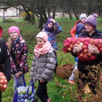 Akcja charytatywna - zbiórka jabłek dla podopiecznych Ośrodka w Rusinowicach