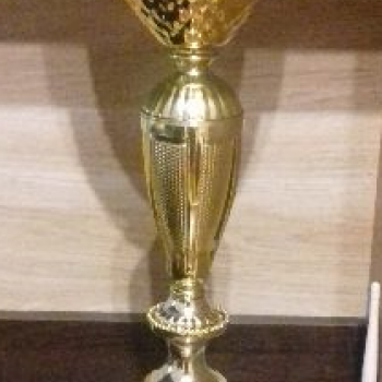 X Halowy Turniej Piłki Nożnej o Puchar Wójta Gminy Latowicz