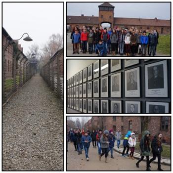 Wycieczka do Muzeum Auschwitz-Birkenau w Oświęcimiu.