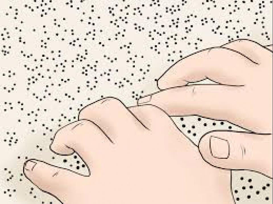 4 stycznia - Światowy Dzień Braille