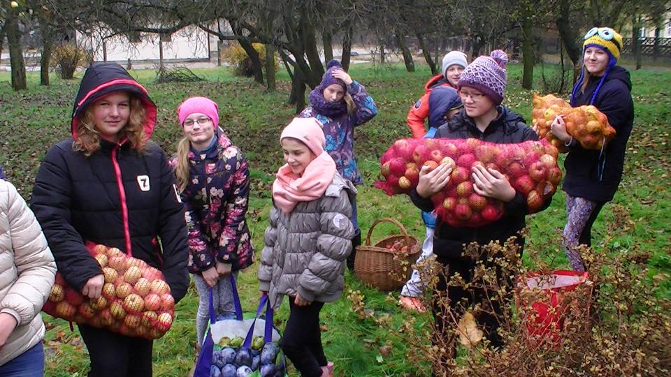 Akcja charytatywna - zbiórka jabłek dla podopiecznych Ośrodka w Rusinowicach