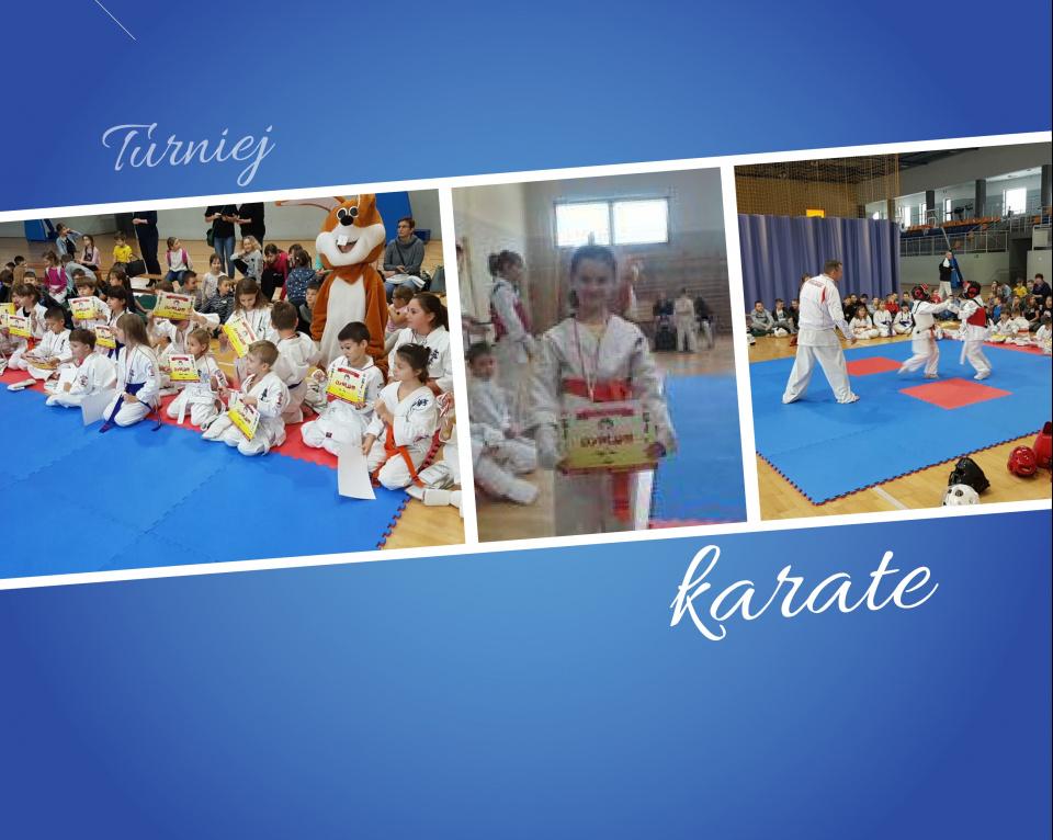 TalentowiSKO - turniej karate
